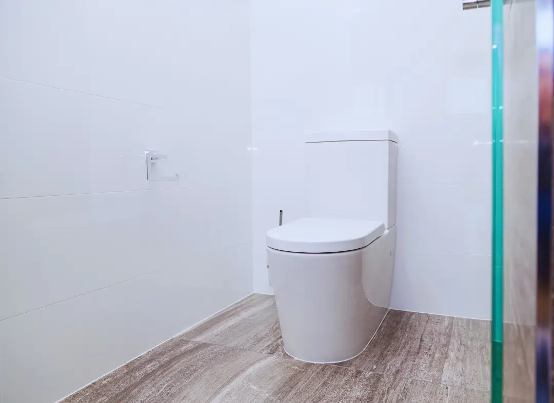 Remplacement de wc Mèze